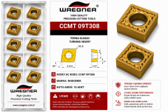 CCMT09T308